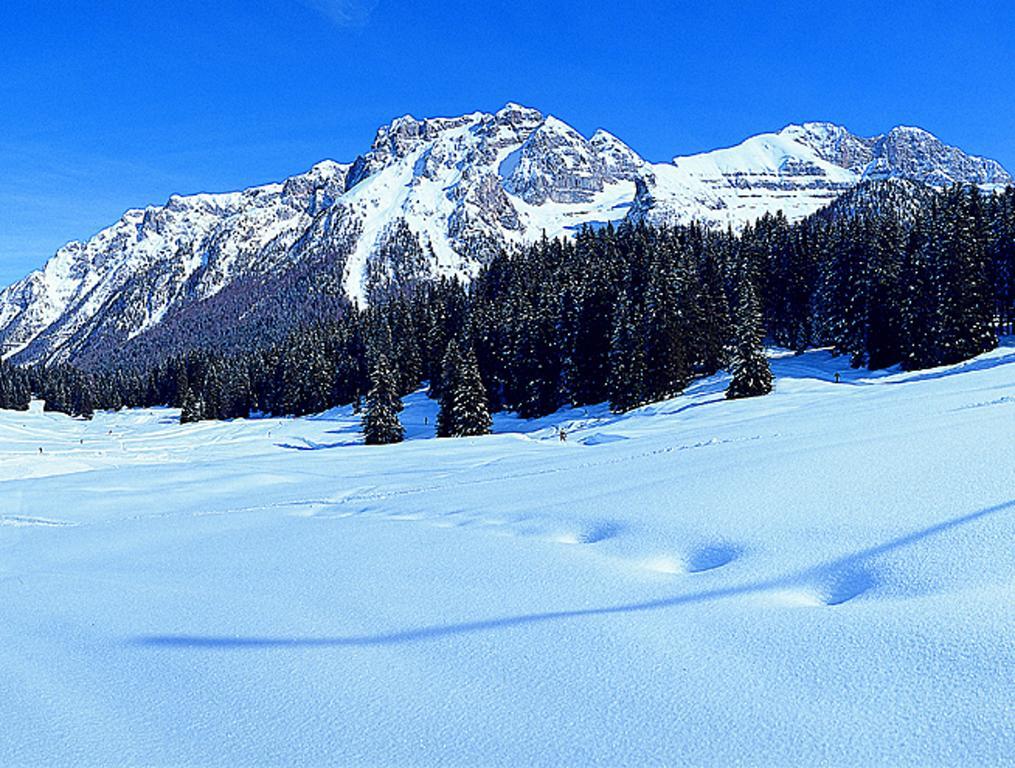 Апартаменти Campiglio Trilocale Monte Spinale Мадонна-ді-Кампільйо Номер фото